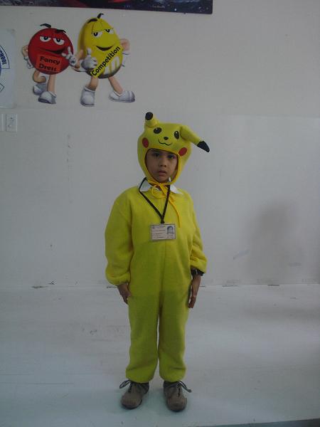 fancy dress 051.jpg